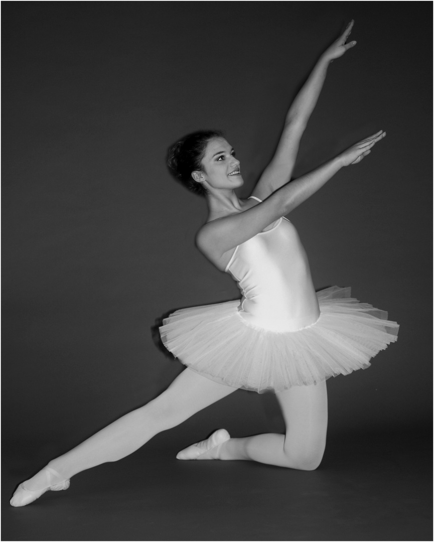   "The art of  ballett "