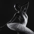 „the art of dance”