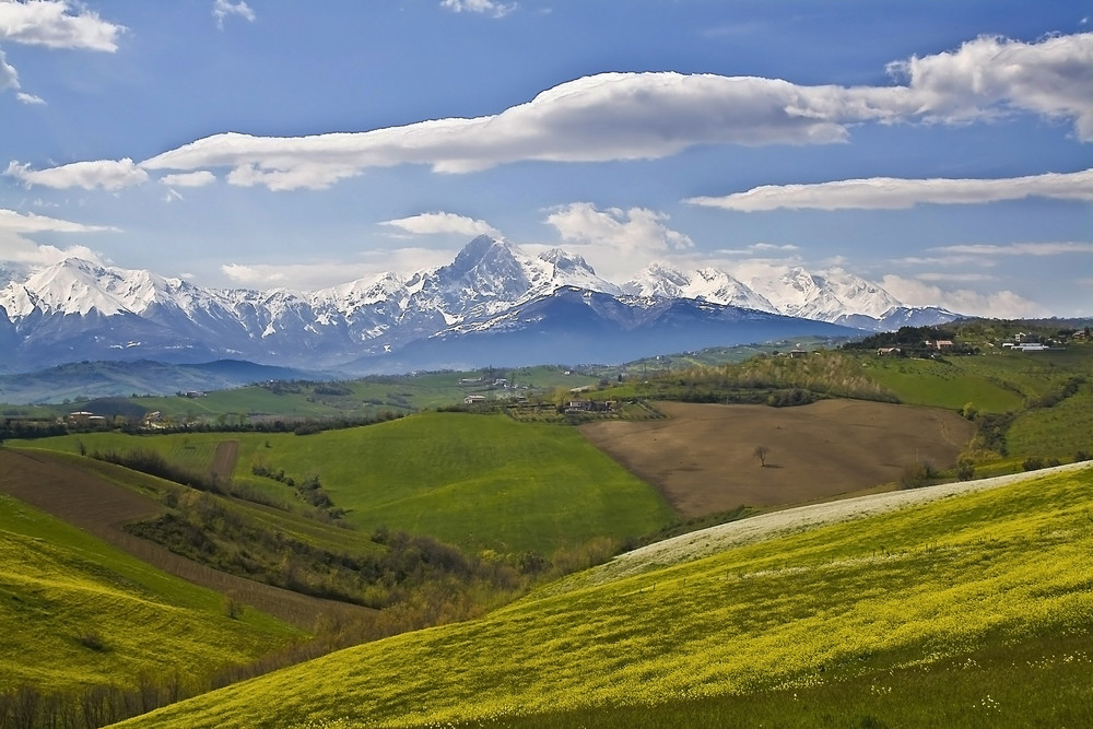 The art of the nature di simone bellisari 