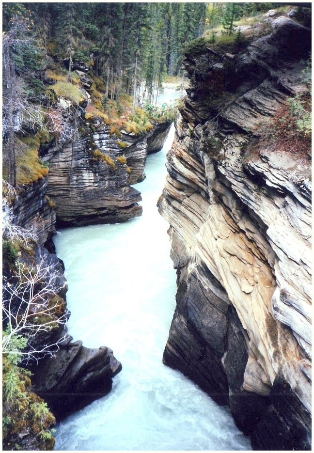 The Athabasca Falls B.C.