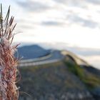 The Atlantic Road