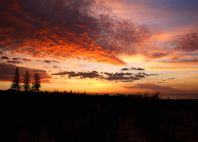 The Australian wilderness