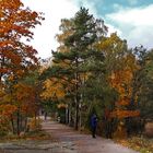 The autum 2019 on Seurasaari