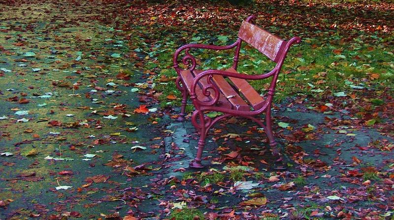 The autumn bench