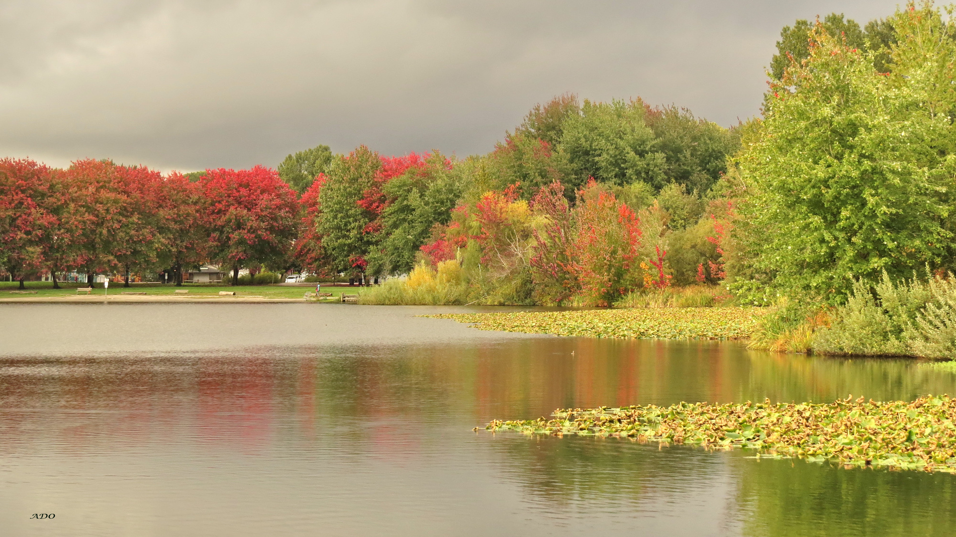 The Autumn Light