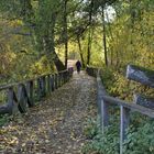 The autumn path