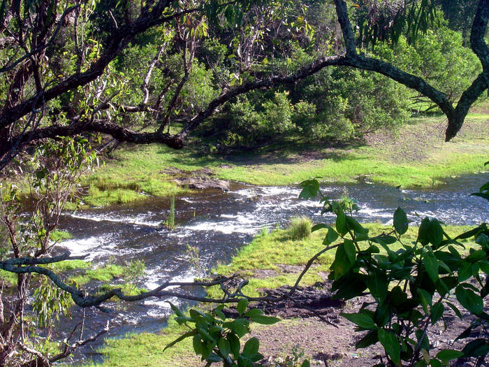 The Babbling Brook