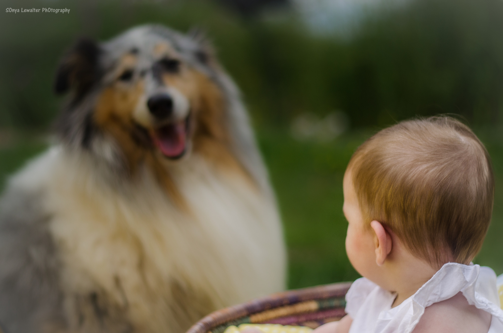 The Baby and the Dog