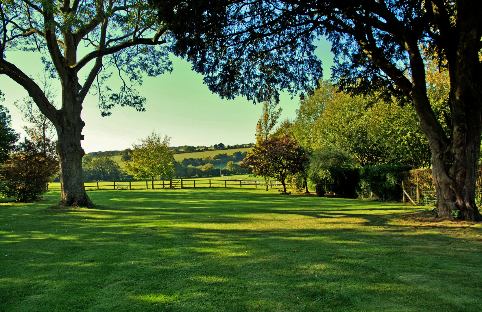 The Back Garden