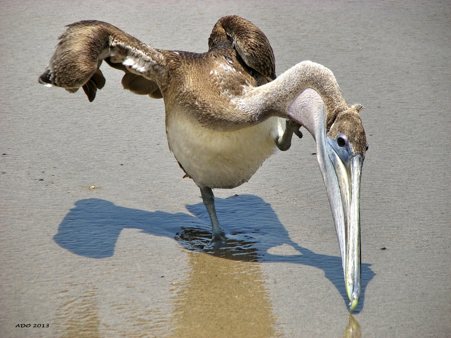 The Balancing Act