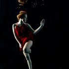 The Ballett Dancer