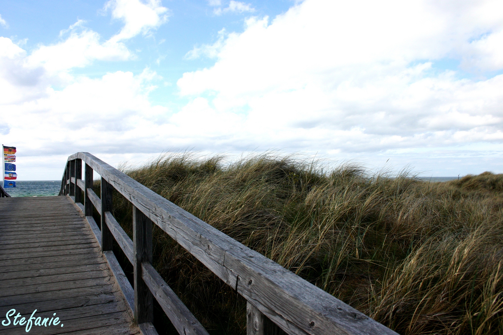 The baltic sea.