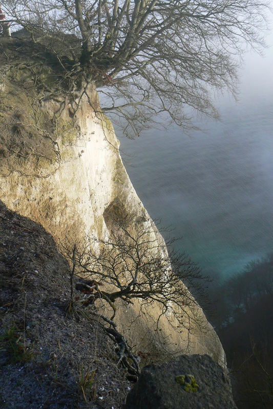 the baltic sea chair of the king