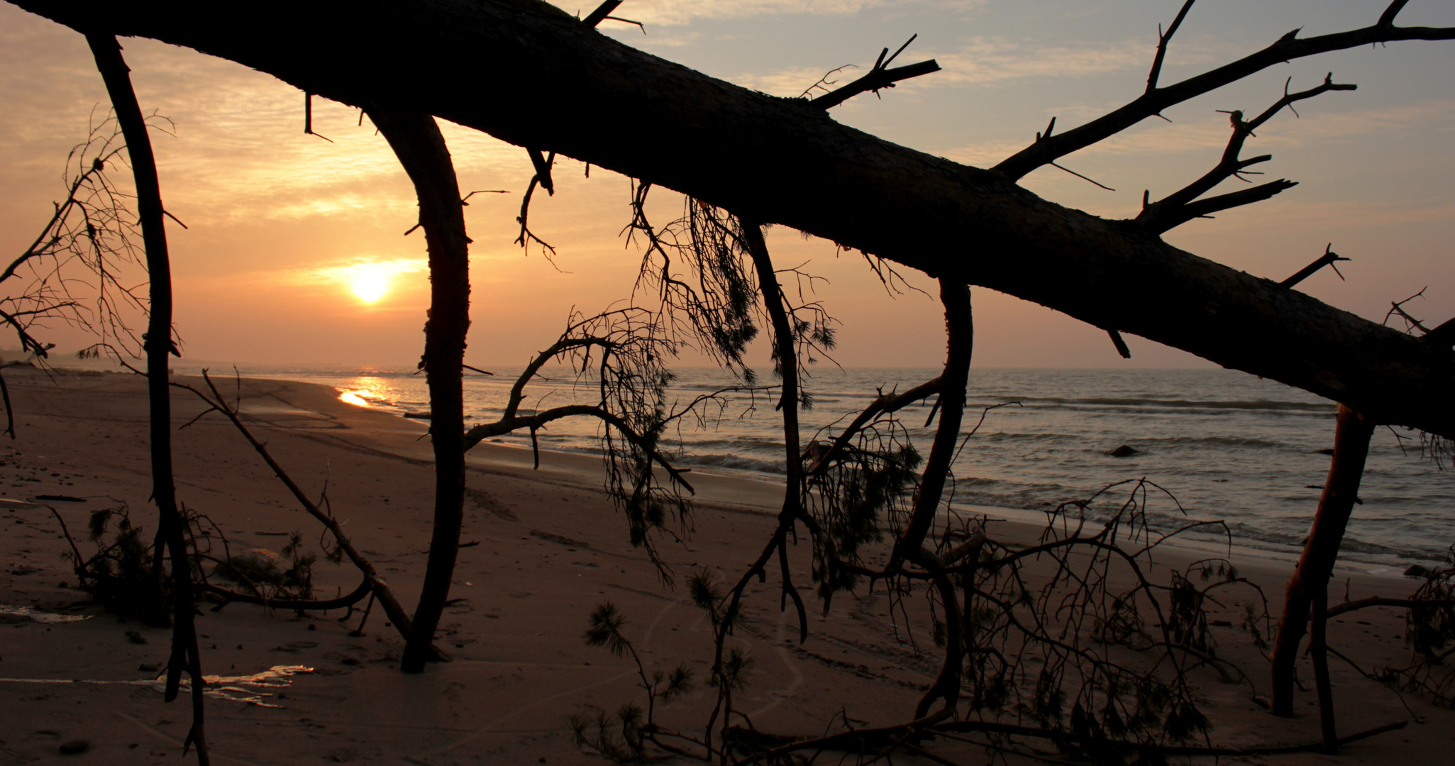 The Baltic Sea coast at sunset.