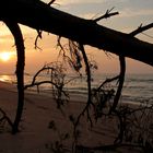 The Baltic Sea coast at sunset.