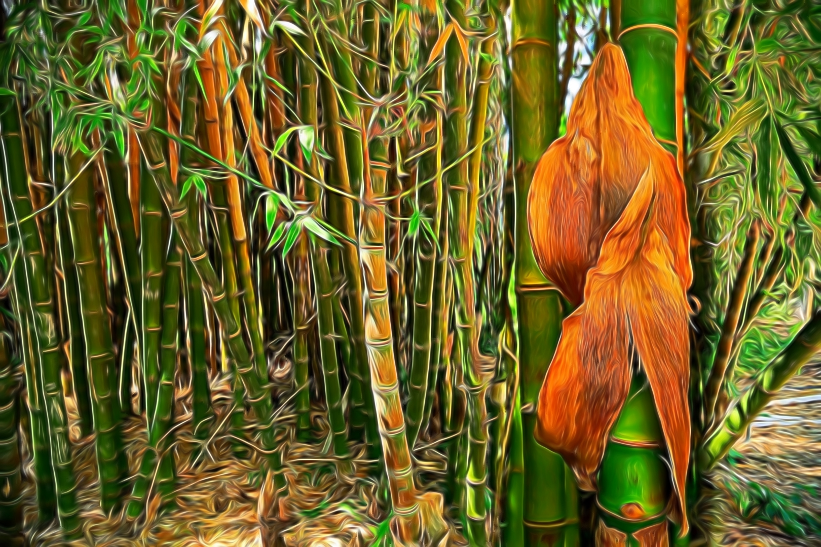 the bamboo story