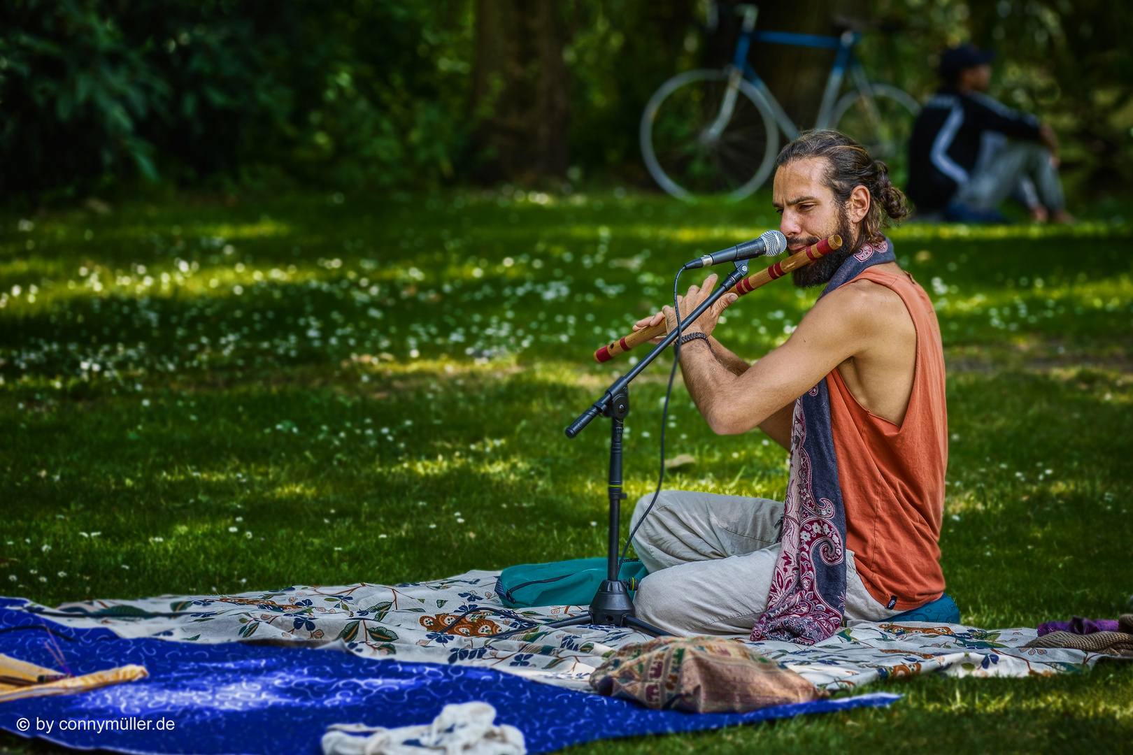 The Bansuri Musician