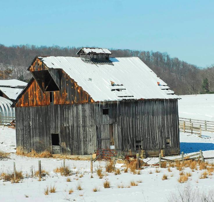 The Barn