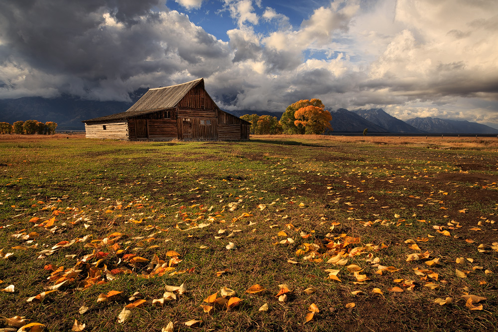 The Barn