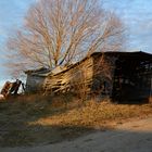 the barn