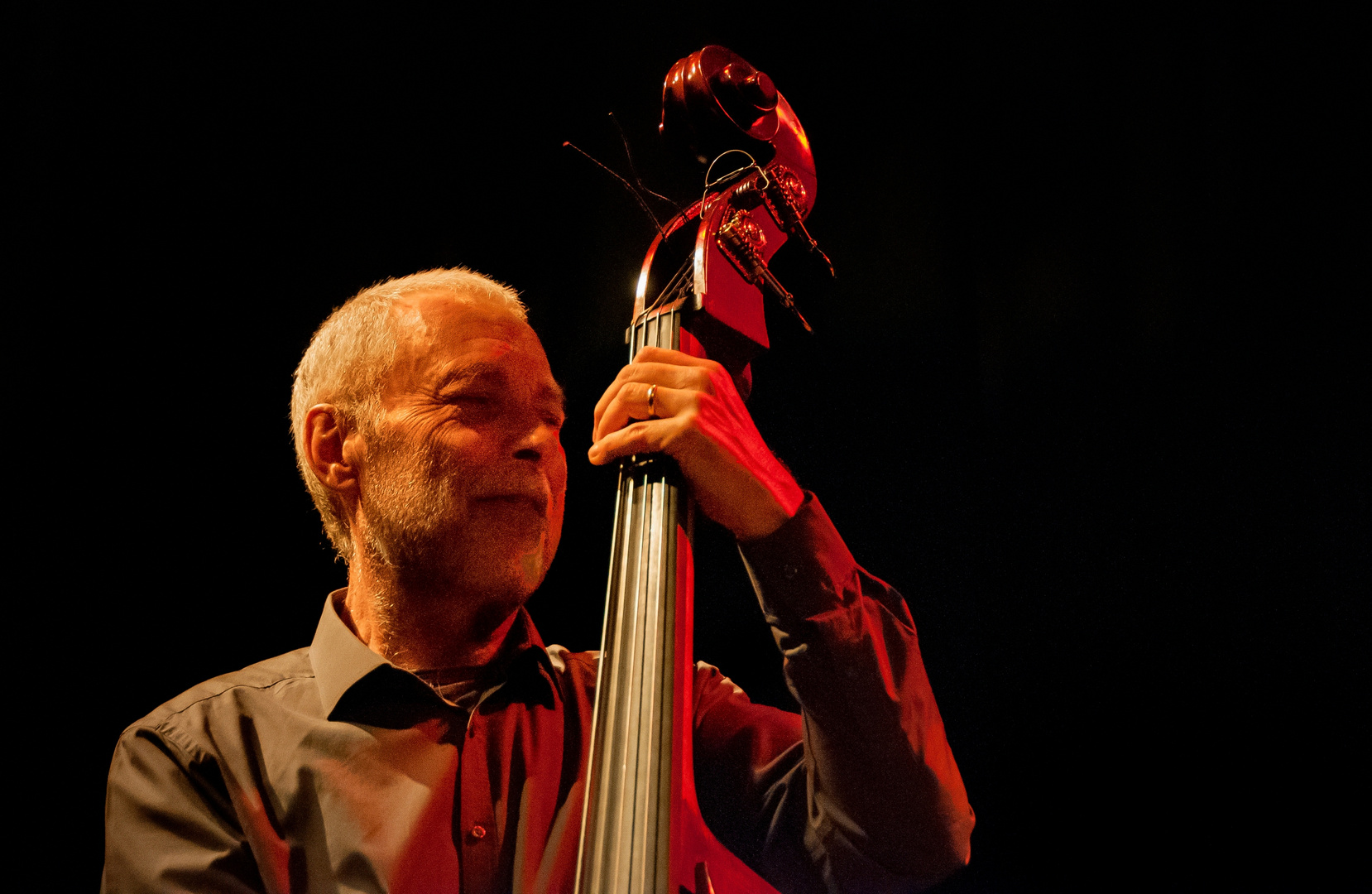 The Bass Player Dave Holland
