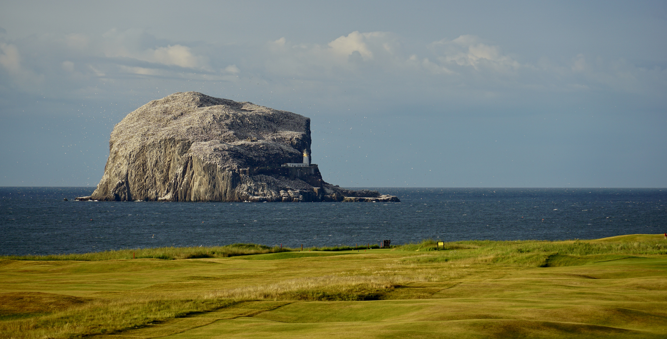 The Bass Rock - Der Fels der Vögel