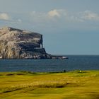 The Bass Rock - Der Fels der Vögel