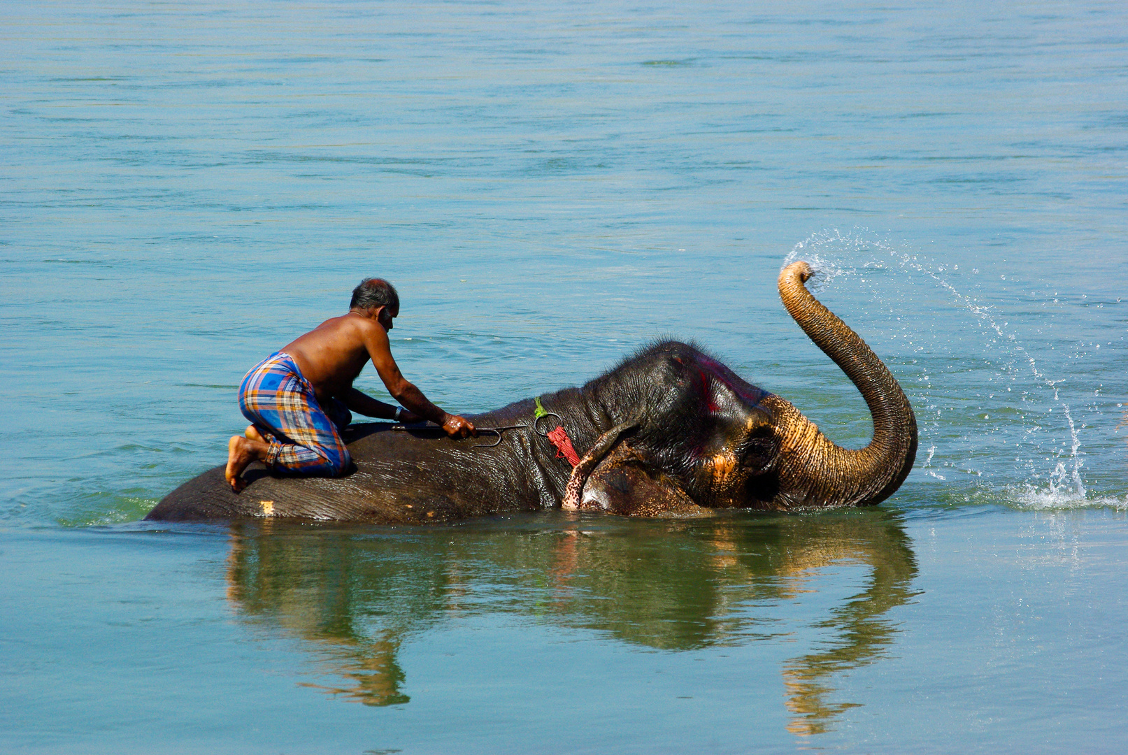 The bath of the elephant