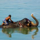 The bath of the elephant