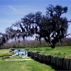 the battlefield of New Orleans...