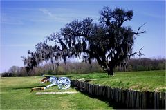 the battlefield of New Orleans...