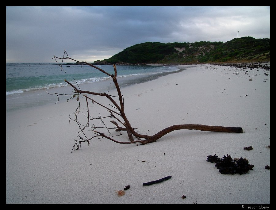 The Beach