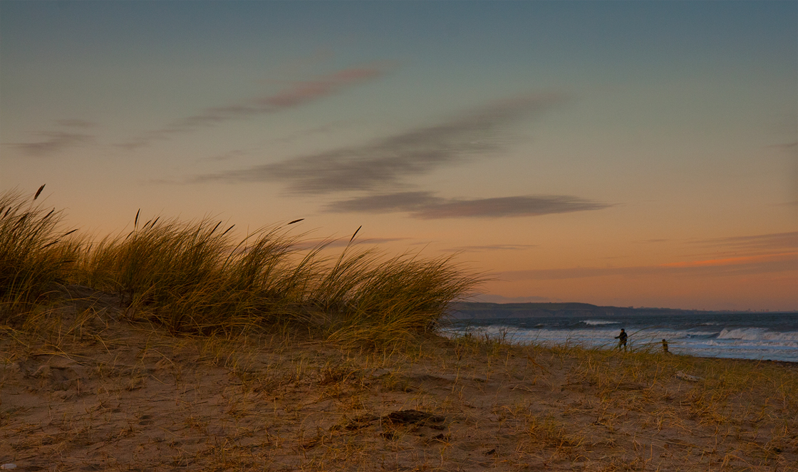 The beach