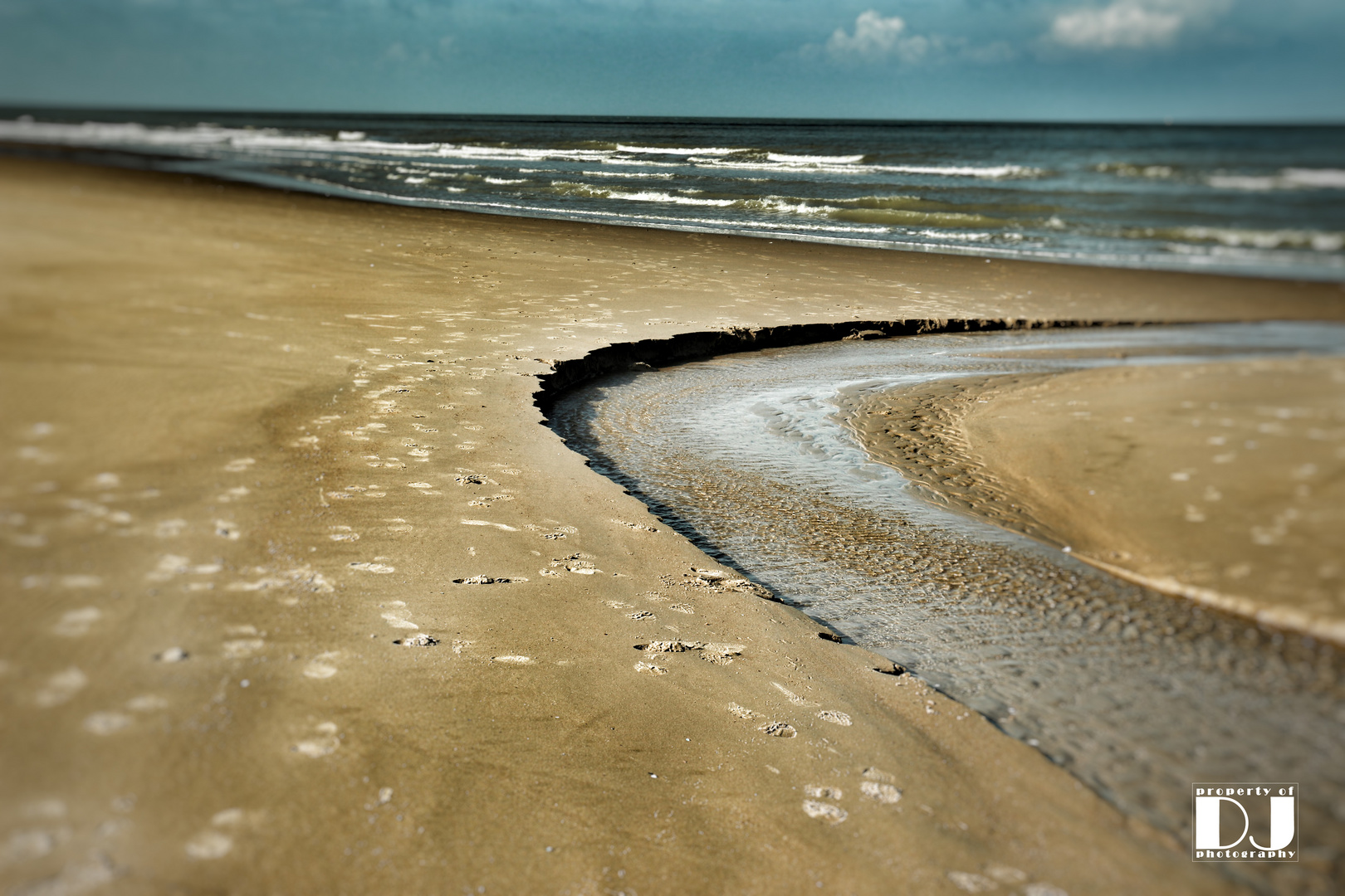 The Beach