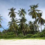 ~~The Beach~~