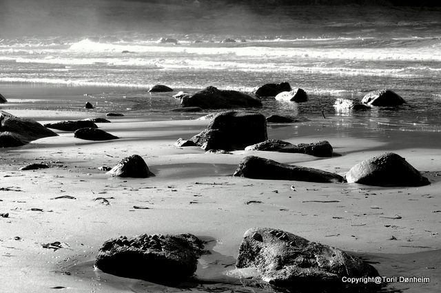 The beach at Alnes.