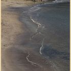 the beach at eyemouth 6