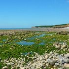 The beach at Llantwit Major is very busy