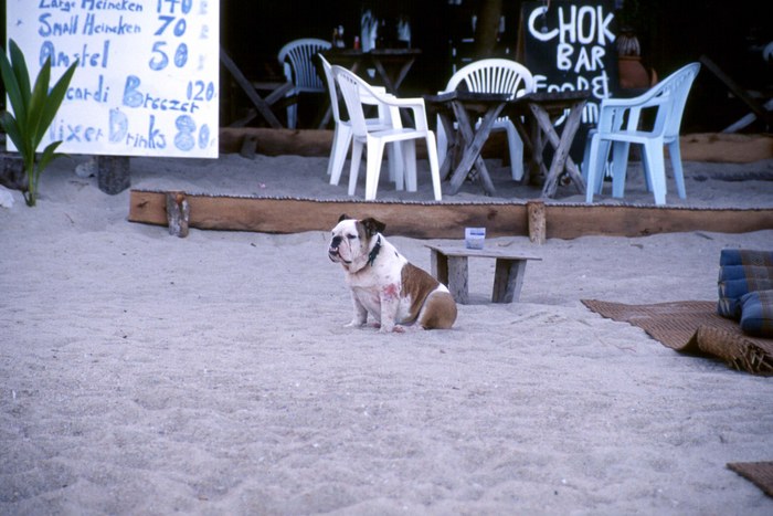 the beach