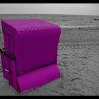 - The Beach Chair -