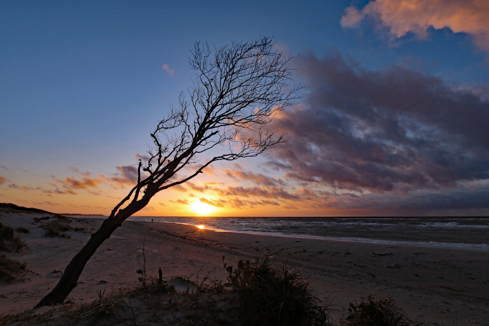 the beach