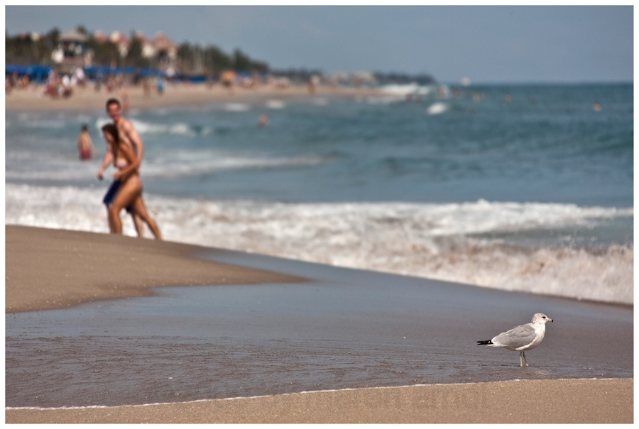 The Beach ...