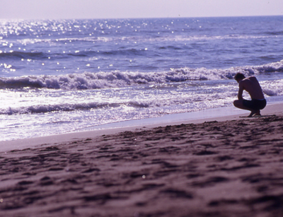 the beach