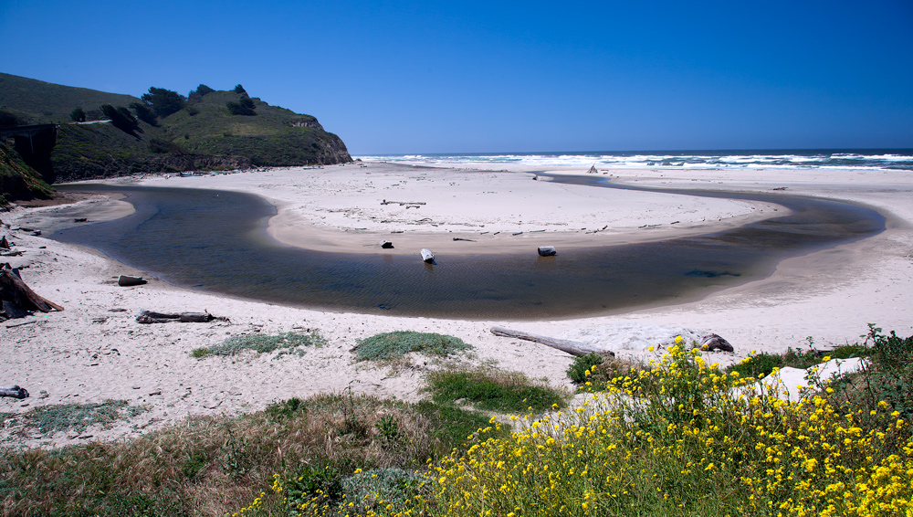 The Beach @ Highway 101