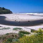 The Beach @ Highway 101