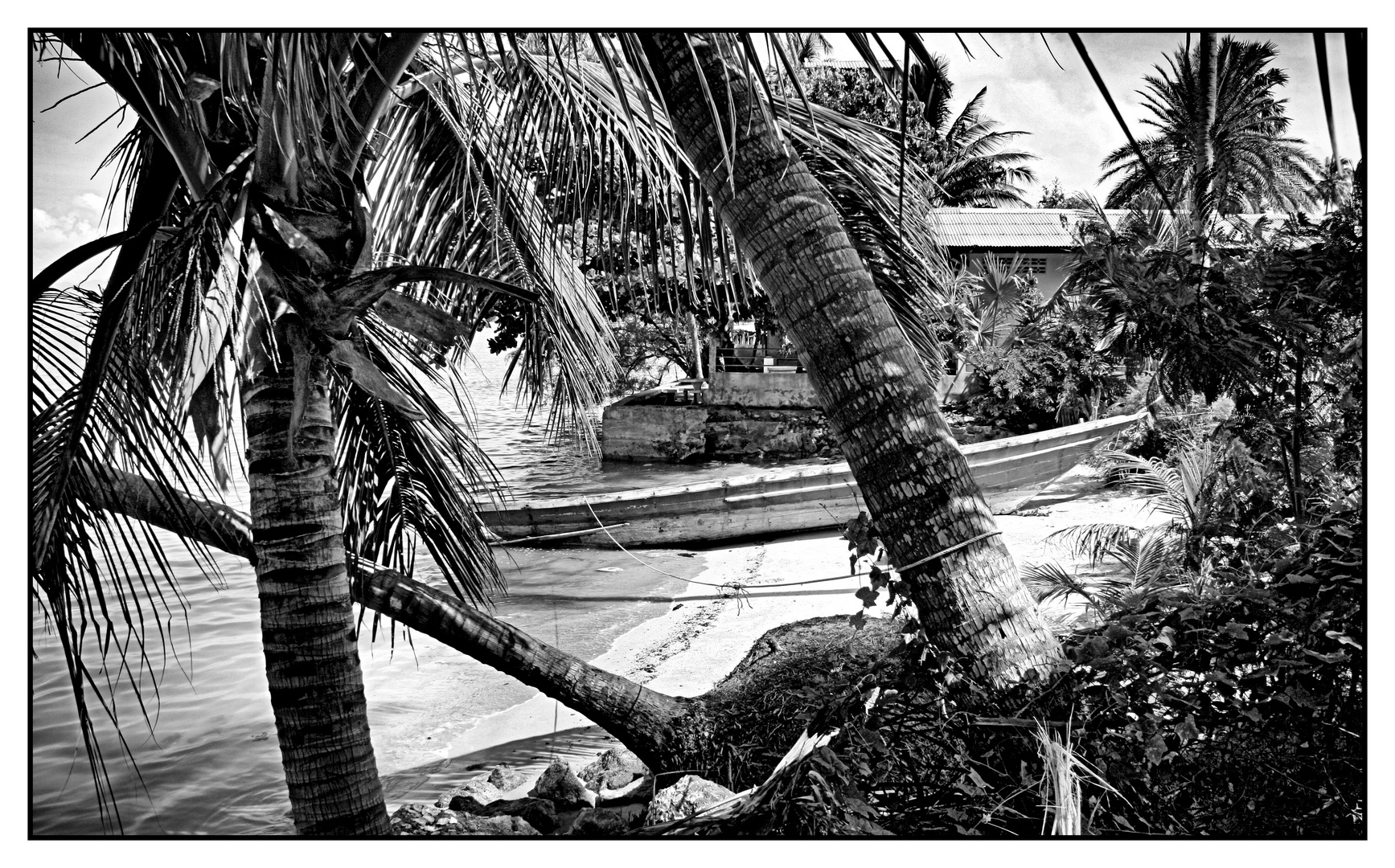 The Beach in Black & White