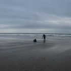 The beach in Borth