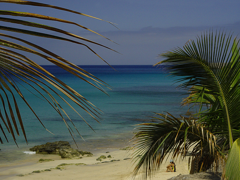 The beach in Fuerte