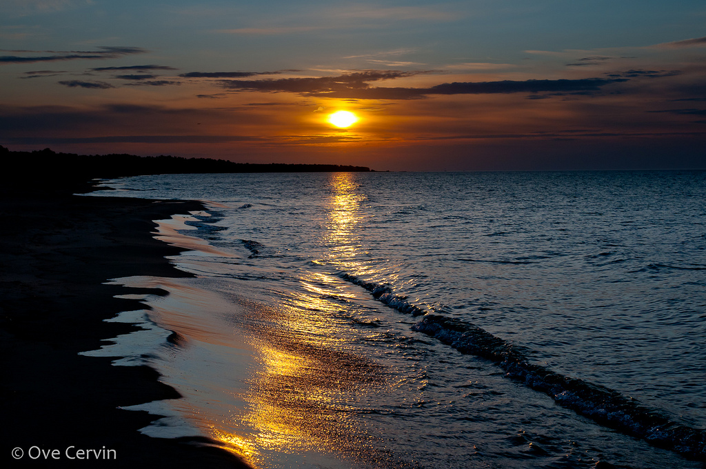 The beach in southern Sweden