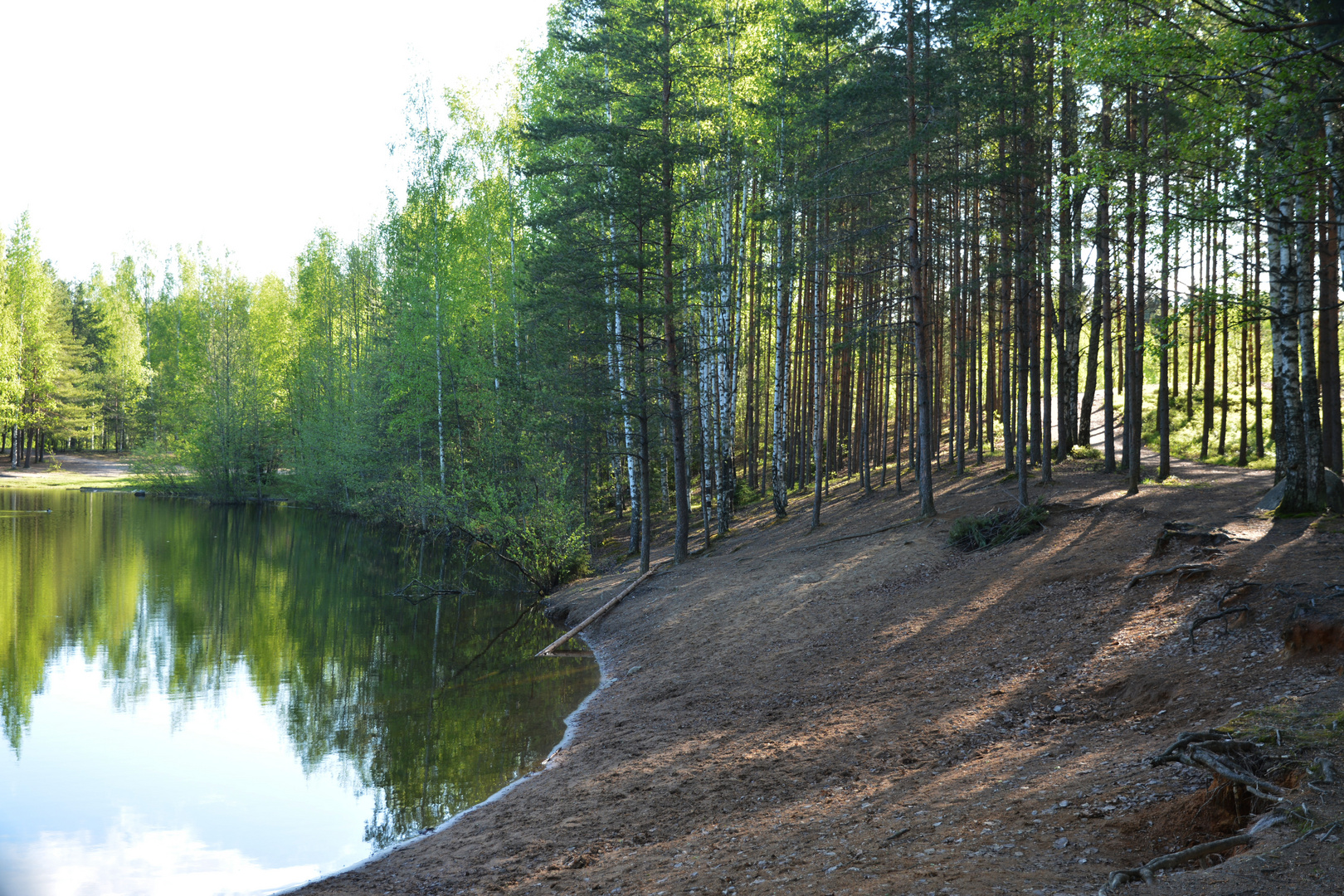 The beach of forest lake